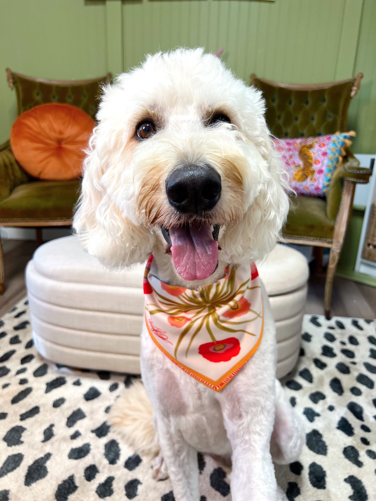 Poppy Fleur Pet Scarf