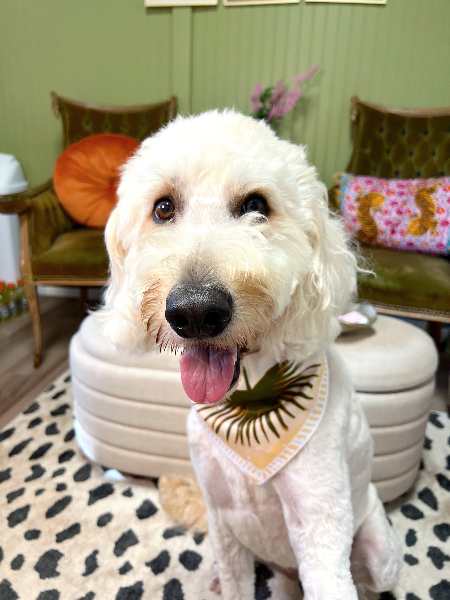 Palmé Pet Scarf