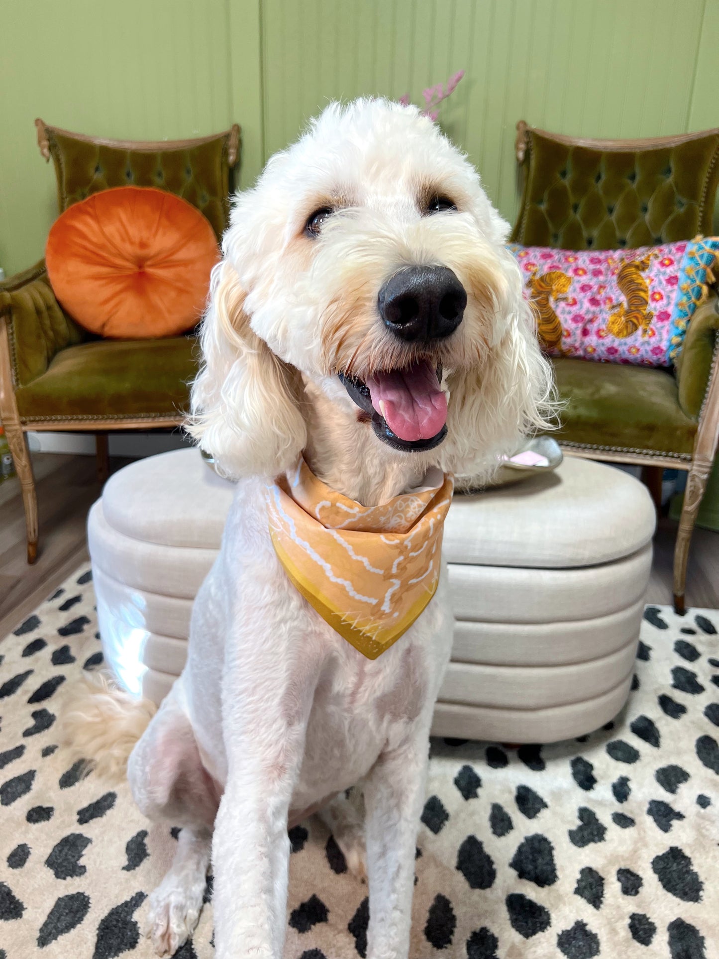 Maison Link Pet Scarf