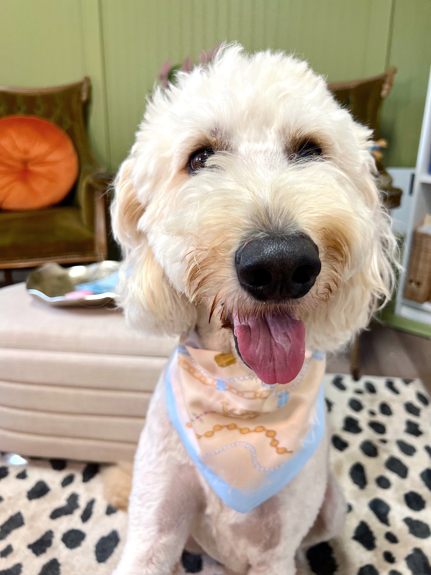 Le Jewel Pet Scarf